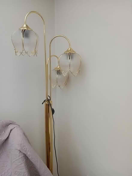 Photo of free Standard lamp (CW1 Crewe) #1