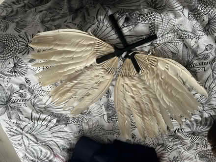 Photo of free Textiles, taffeta, velvet, white cream silver (New Brighton CH45) #4