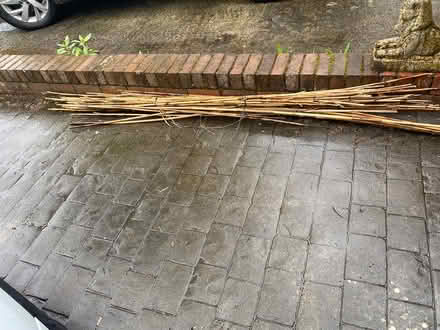 Photo of free Bamboo canes (Rhiwbina, Cardiff CF14) #2