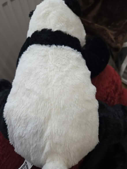 Photo of free Ikea Panda Teddy (Reading RG30) #2