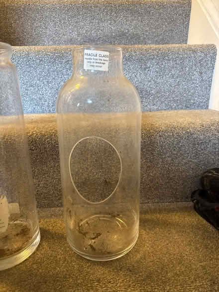Photo of free 2 terrarium type glass jars (Leighton Buzzard LU7) #3