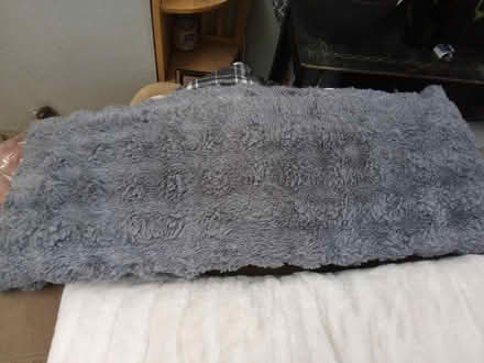 Photo of free 2. Body pillows (Juan Tabo and Central) #3