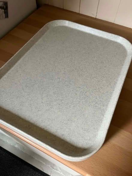 Photo of free Large Dinner Trays (Hemel Hempstead) #1