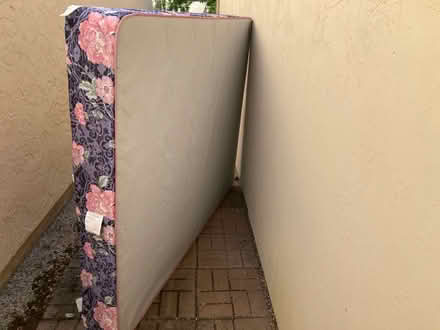 Photo of free Queen Springboard (Wolfe and Evelyn / Sunnyvale) #2