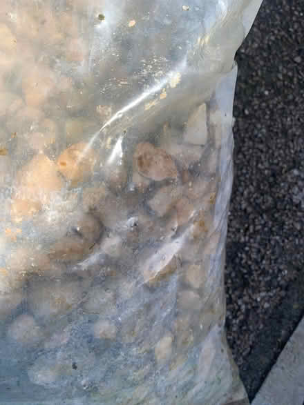 Photo of free Garden stones (Thorpe Marriot NR8) #4