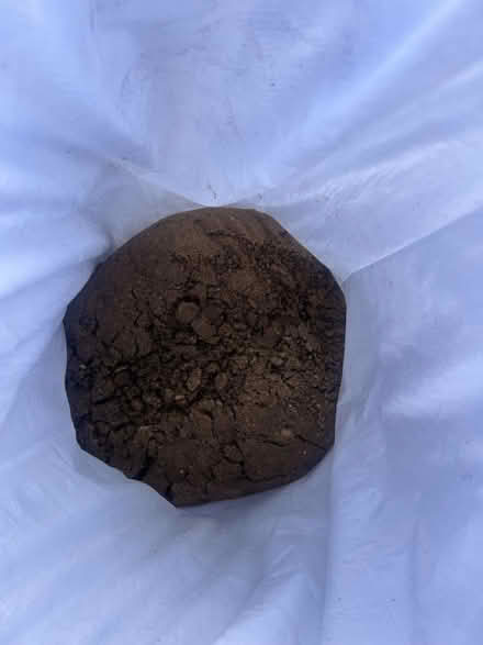 Photo of free 5 bags of free sand (KT8) #2