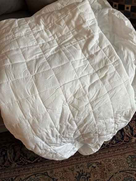 Photo of free Mattress protector double size. (Teddington TW11) #1