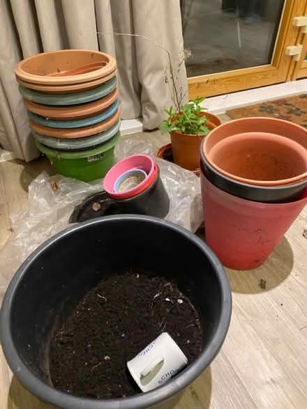 Photo of free Large plant pots (W3, Acton) #3