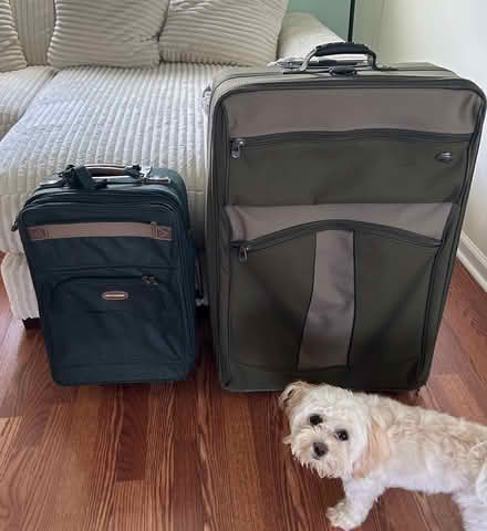 Photo of free Luggage - Must Take Both (Pasadena, MD) #1