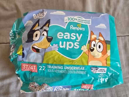 Photo of free Training Underwear 3T/4T easy ups (West 7th) #3