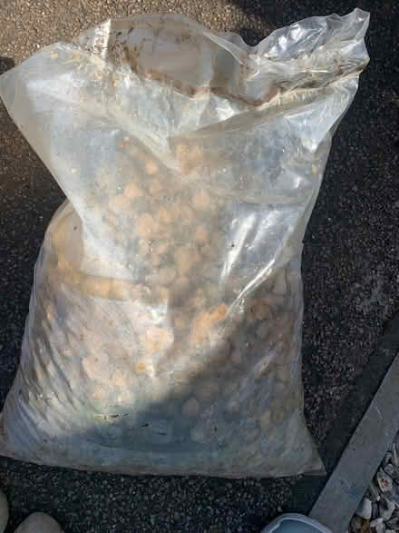 Photo of free Garden stones (Thorpe Marriot NR8) #3