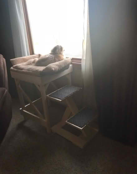 Photo of free Window Perch for Dog, possibly Cat (Romeoville) #1