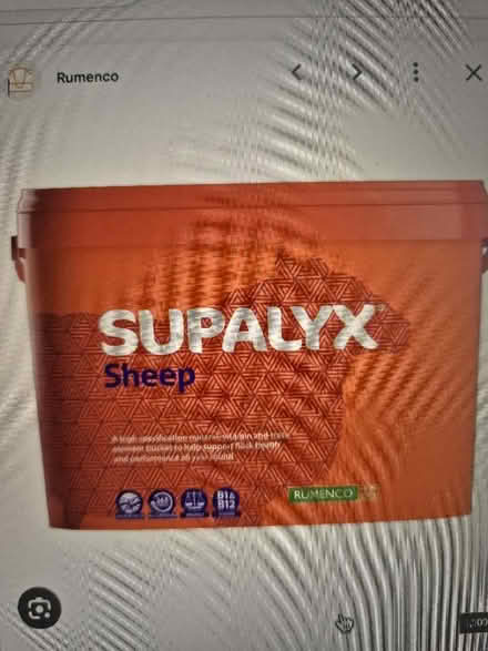 Photo of Sheep mineral buckets (Priest Weston SY15) #1