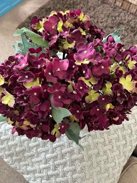 Photo of free XL Hydrangers in vase (Hemel Hempstead) #1