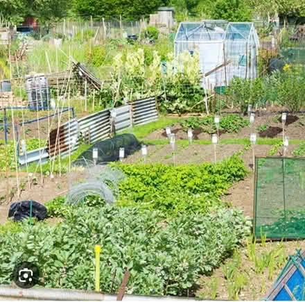 Photo of Allotment Items (Cherwell Heights OX16) #1