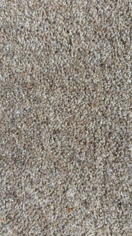 Photo of free Carpet Offcut - 1.3m x 1.8m (Garsington OX44) #2
