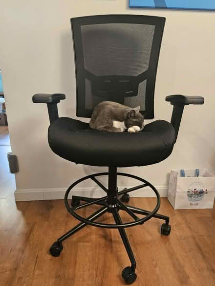 Photo of free Heavy duty drafting chair (Bedford, Ma. Lexington line.) #1