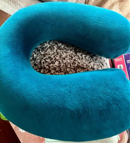 Photo of free Neck pillow (Pitsea SS13) #1