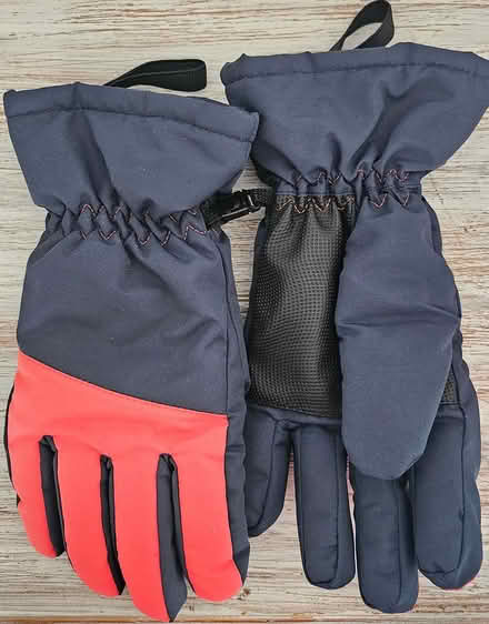 Photo of free Ladies Ski Gloves (Bearsted) #1