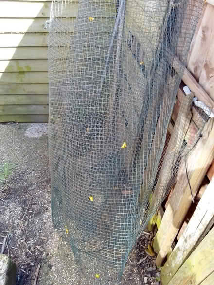 Photo of free A length of fencing (Portchester PO16) #1
