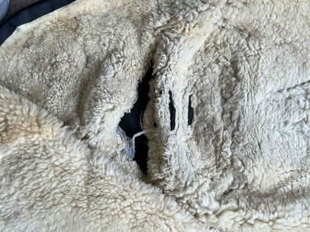 Photo of free Winter wool pushchair footmuff (Bowburn (DH6)) #4