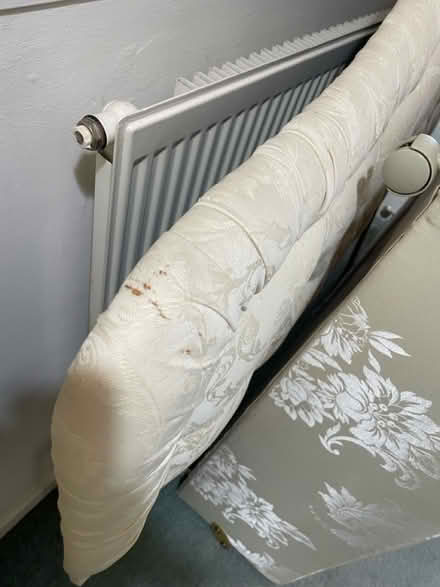 Photo of free Divan floral mattress (AL2 park street) #3