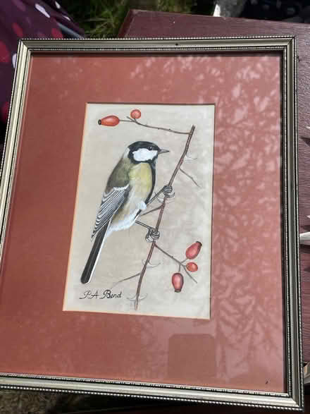 Photo of free Blue tit art (AL2 / SG6) #1