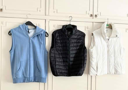 Photo of free Bodywarmers (North End Portsmouth) #1