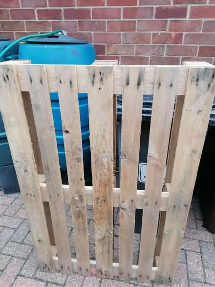 Photo of free Big new pallet and 1 ton builder bag (Mickleover DE3) #1