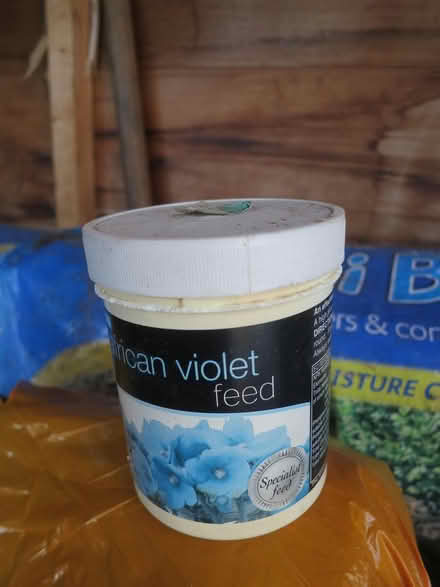 Photo of free African violet fertiliser (CB4) #1