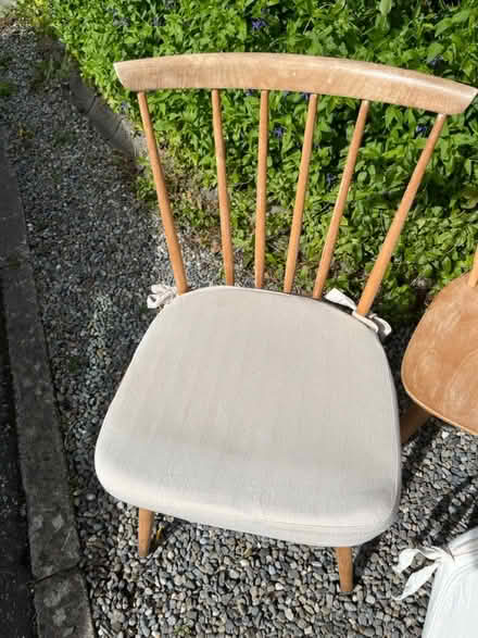 Photo of free 1960s ‘Habitat’ dining chairs (Shankill, D18) #2