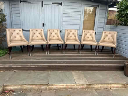 Photo of free 6 dining chairs (Tonbridge) #1