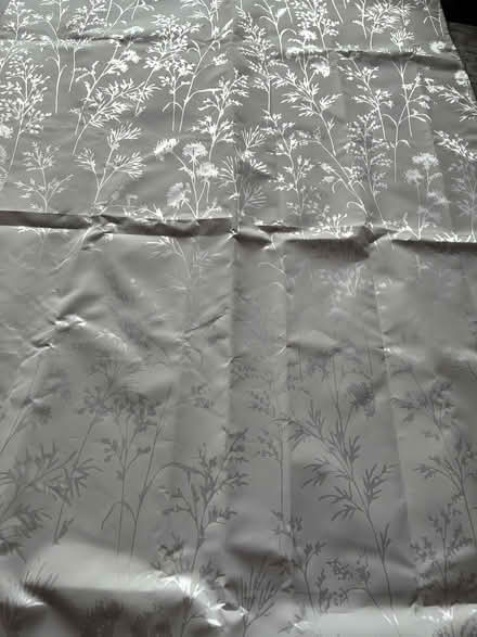 Photo of free Shower curtain (Penylan CF23) #1