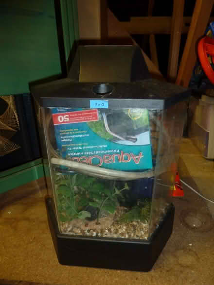 Photo of free Hexagonal cold water fish tank (Stainton CA11) #1