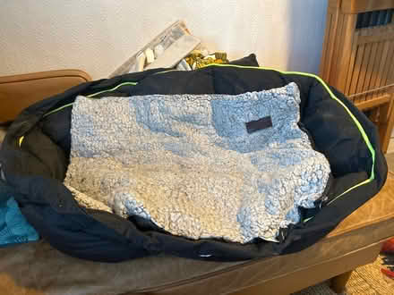Photo of free Dog bed (Brockley SE4) #1