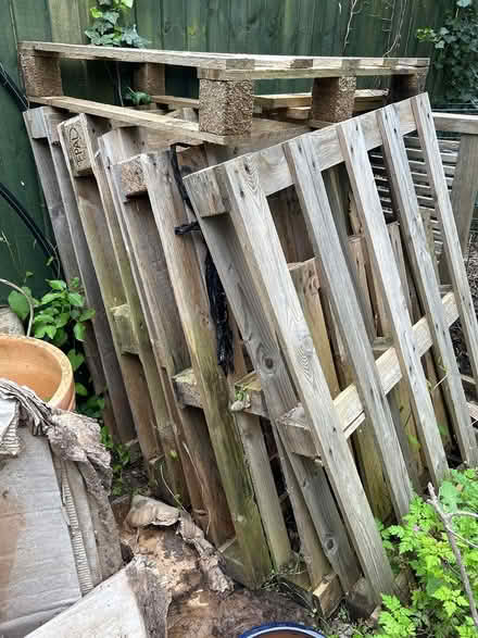 Photo of free Wooden pallets x 8 (Barnards Green, WR14) #1