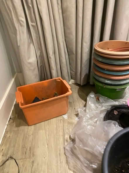Photo of free Large plant pots (W3, Acton) #2