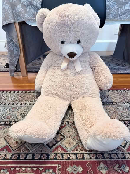 Photo of free Teddy bear (Watertown) #1
