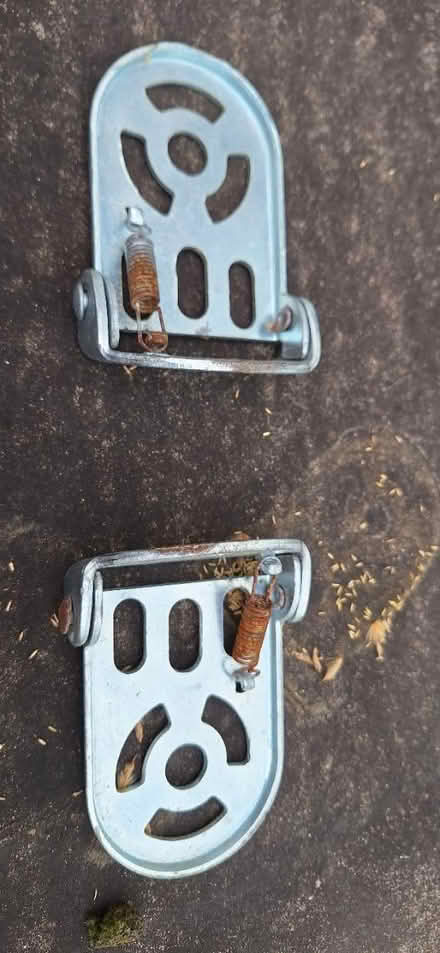 Photo of free Bike foot rests for child (Lower Sydenham) #2