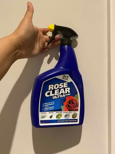 Photo of free Rose Clear Pesticide (W3, Acton) #1
