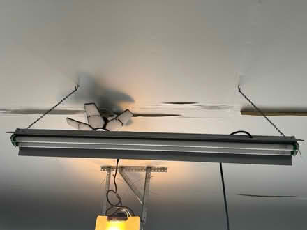 Photo of free Shop light (Downers Grove - South) #1