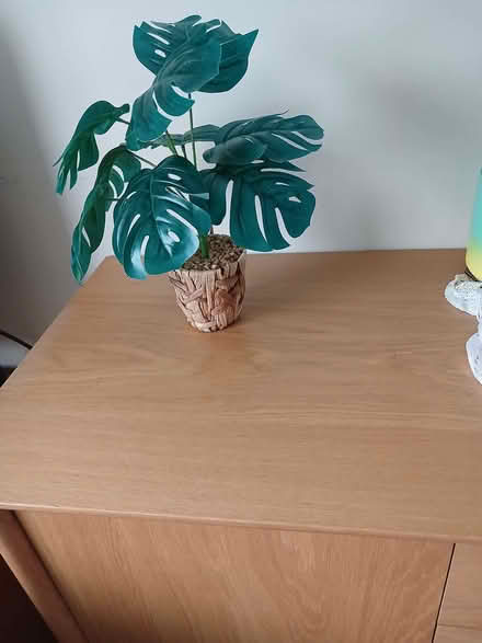 Photo of free Tabke top artificial plant (Waldridge Park DH2) #1
