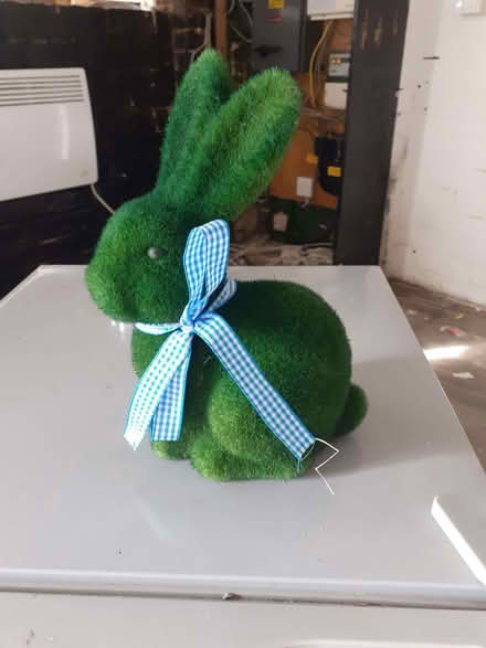 Photo of free Bunnies for decoration (Southport PR8) #1