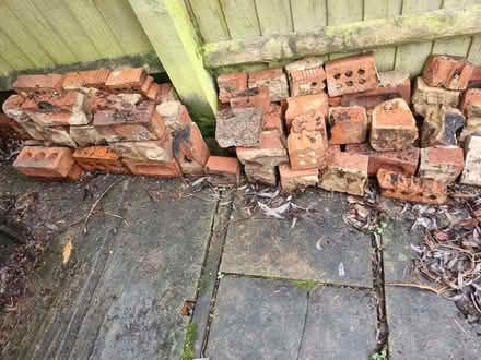 Photo of free Bricks (Coley RG30) #1