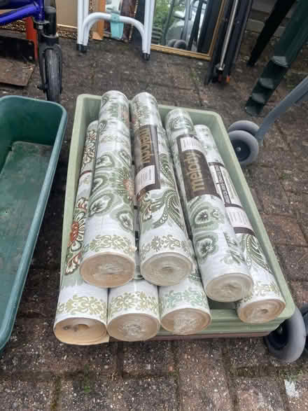 Photo of free Green vinyl floral wallpaper x7 (AL2 park street) #1