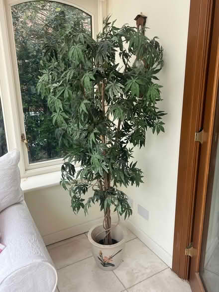 Photo of free Tall artificial shrub (West Common AL5) #1