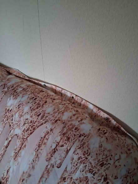 Photo of free Shower curtain and bath mat x3 (mansfield woodhouse NG19) #2