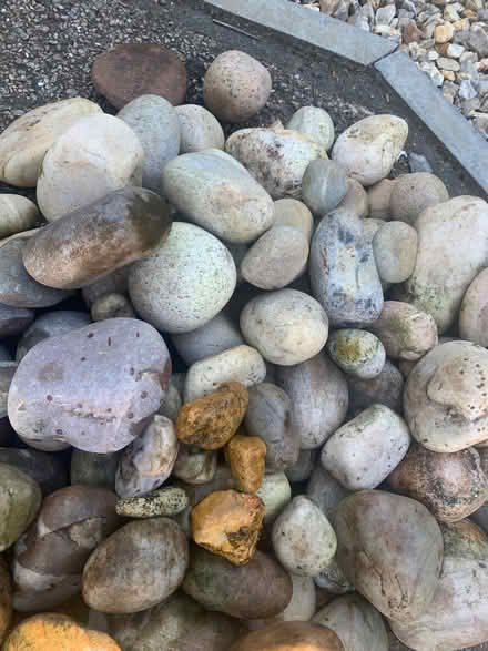 Photo of free Garden stones (Thorpe Marriot NR8) #2