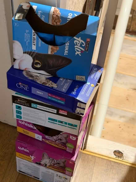 Photo of free Assorted cat food (Durham DH1) #2