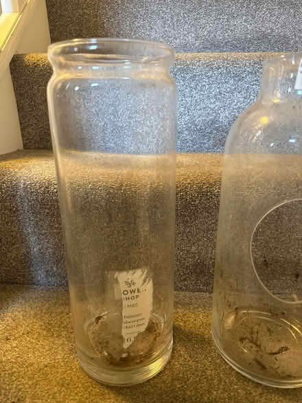 Photo of free 2 terrarium type glass jars (Leighton Buzzard LU7) #2